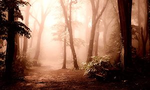 Öregség, elmúlás